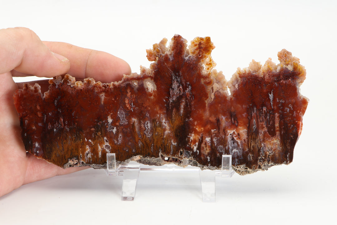 Sicat Plume Agate Slab - Cady Mt, CA TD3820