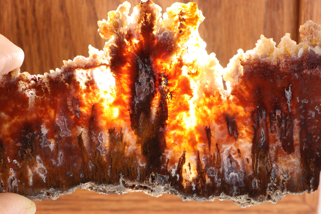 Sicat Plume Agate Slab - Cady Mt, CA TD3820