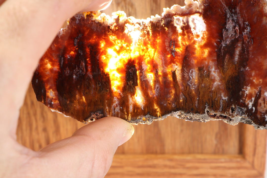 Sicat Plume Agate Slab - Cady Mt, CA TD3820