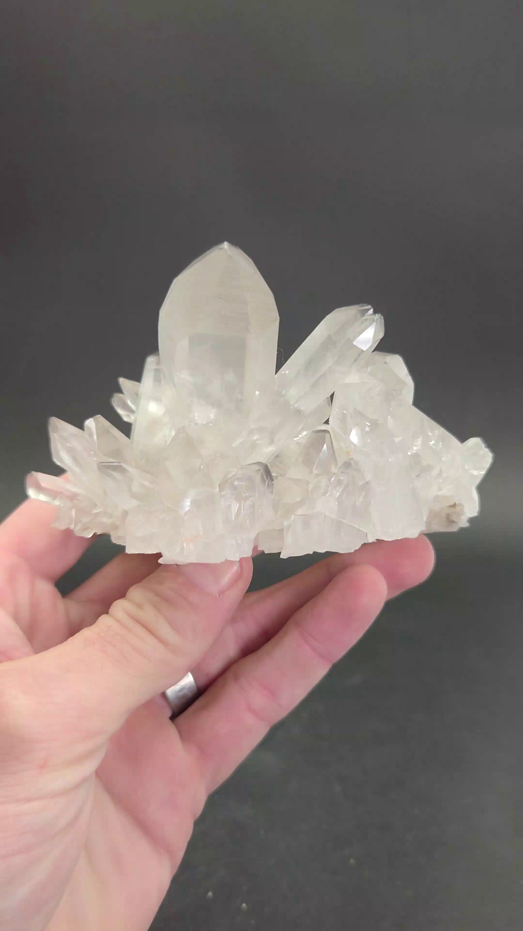 Black Phantom Lemurian Cluster TC1342