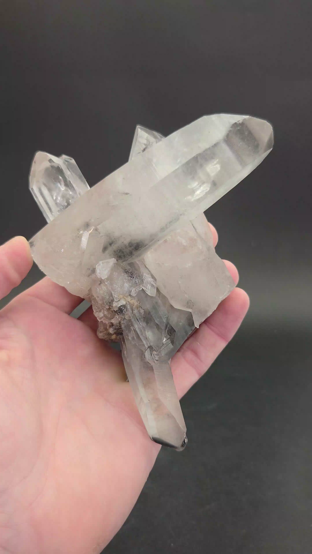 Black Phantom Lemurian Cluster TC1429