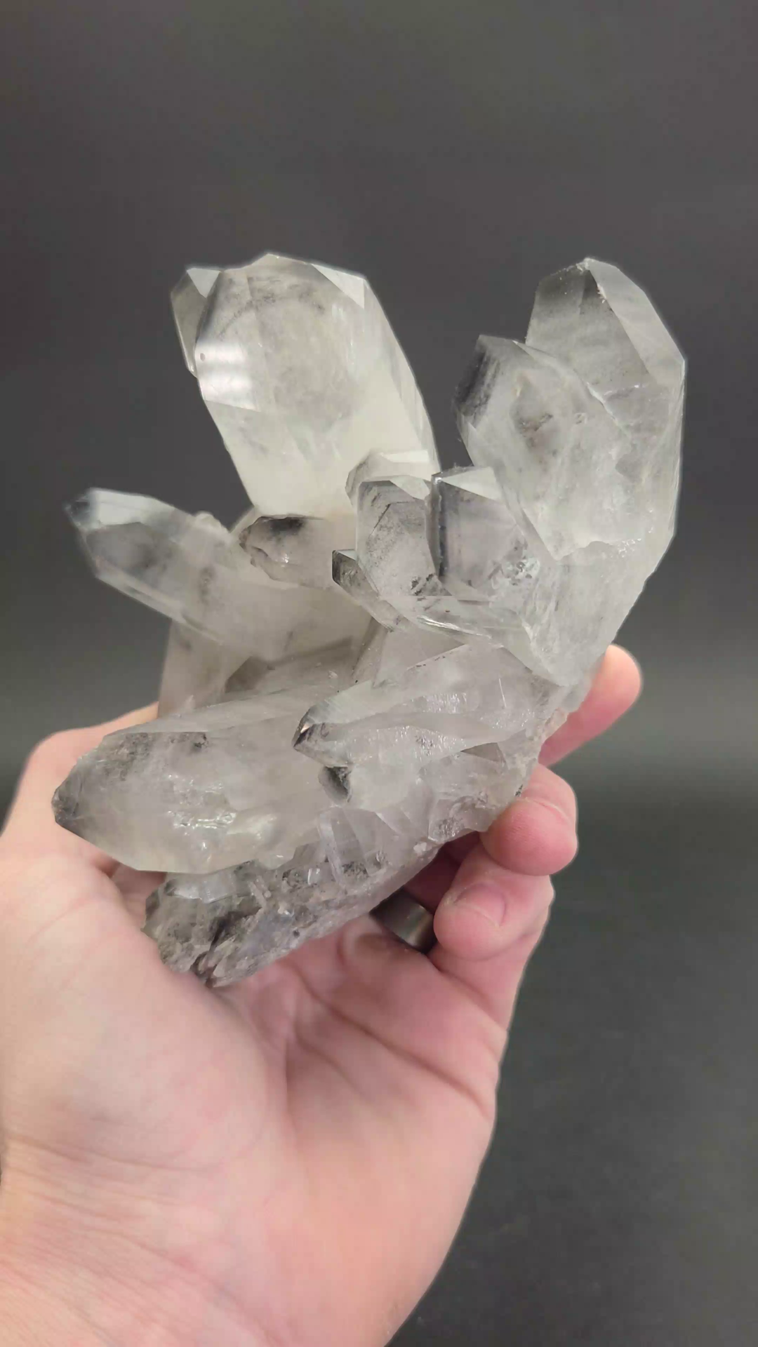 Black Phantom Lemurian Cluster TC1433