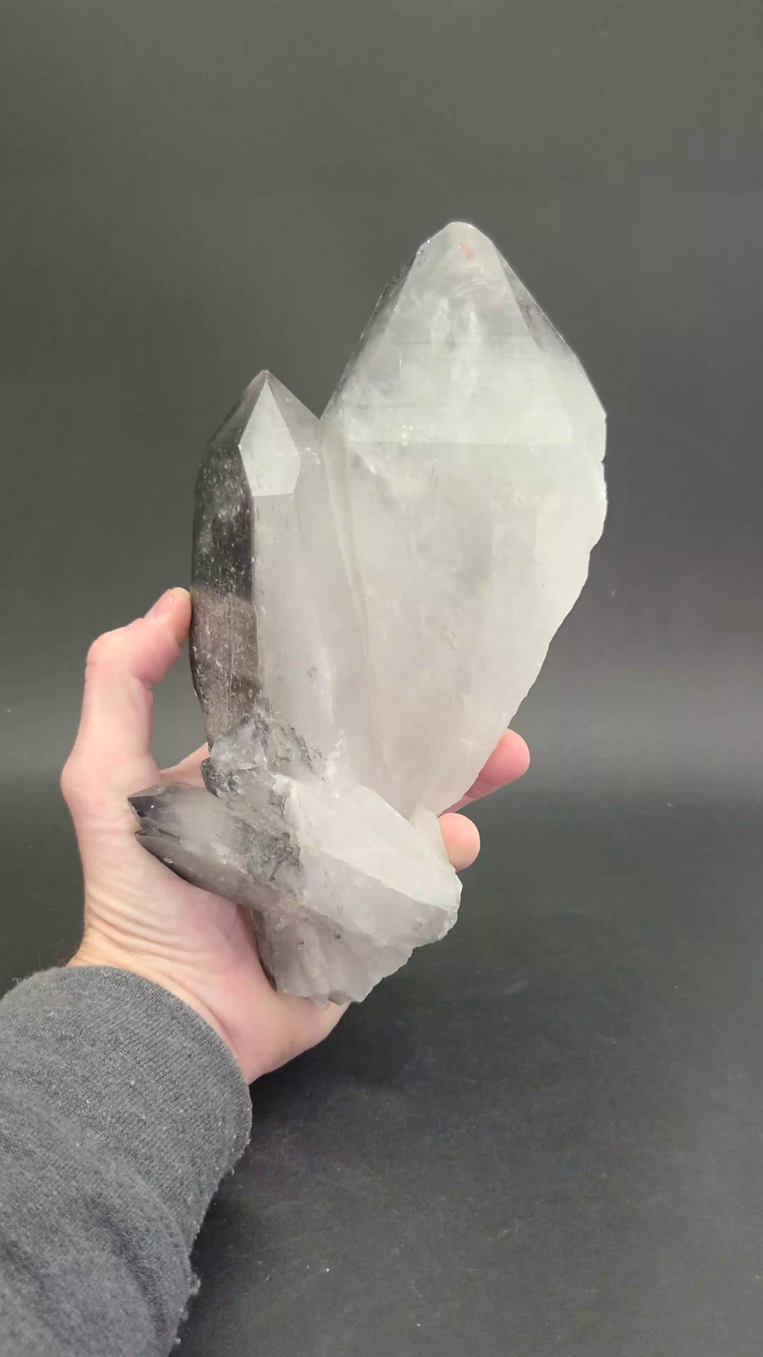 Giant Black Phantom Lemurian Cluster TC1441