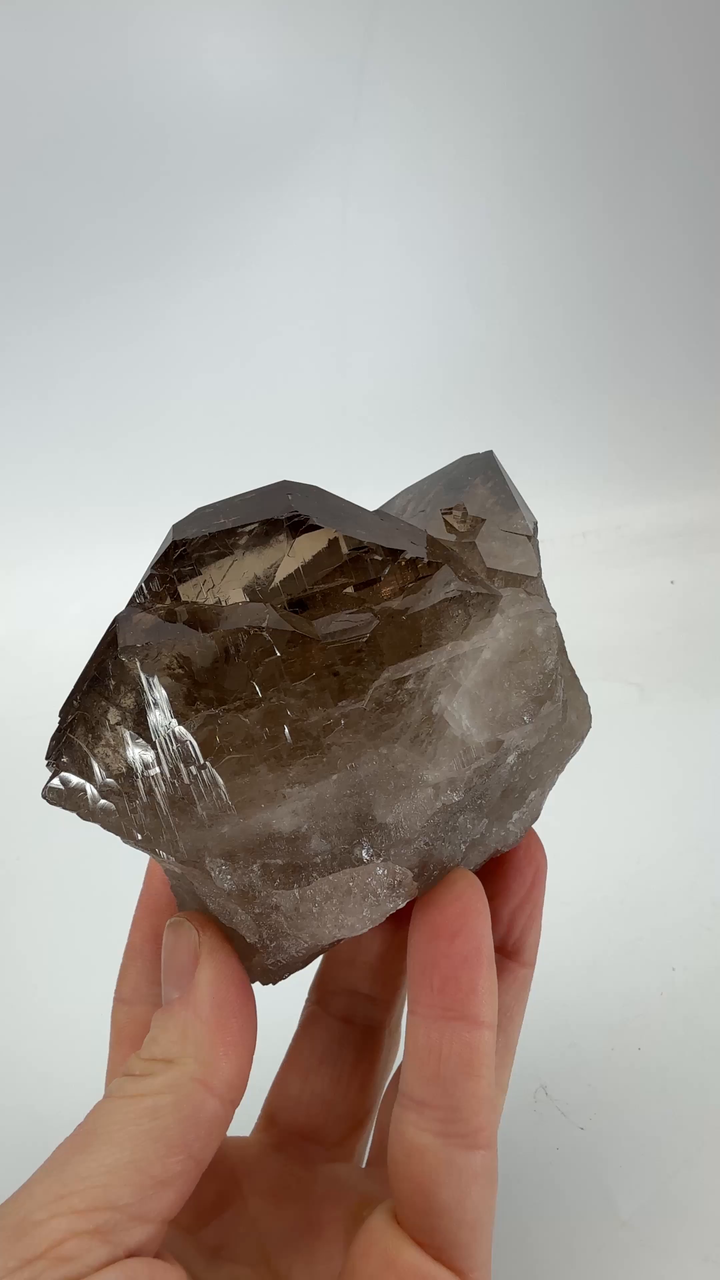 Smoky Quartz Gwindel from Mt. Blanc TD1582