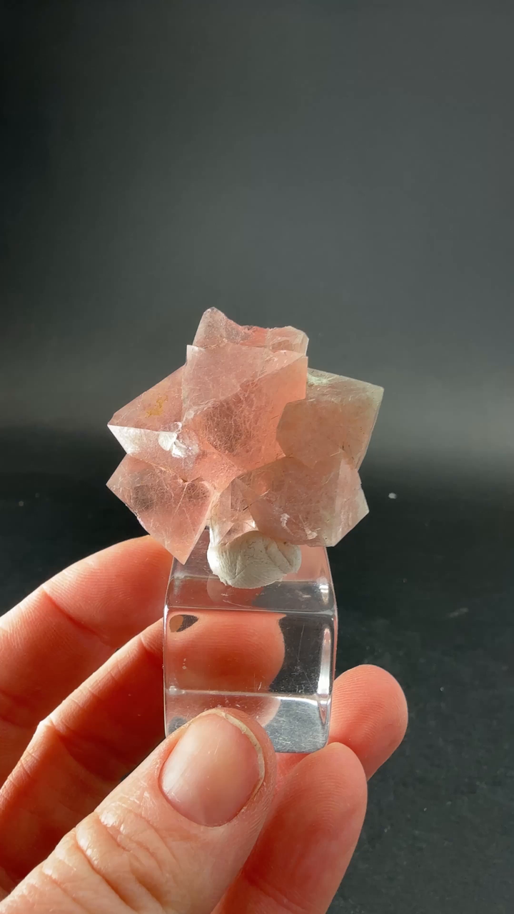 Octahedral Pink Fluorite with Bissolite from Inner Mongolia TD1925