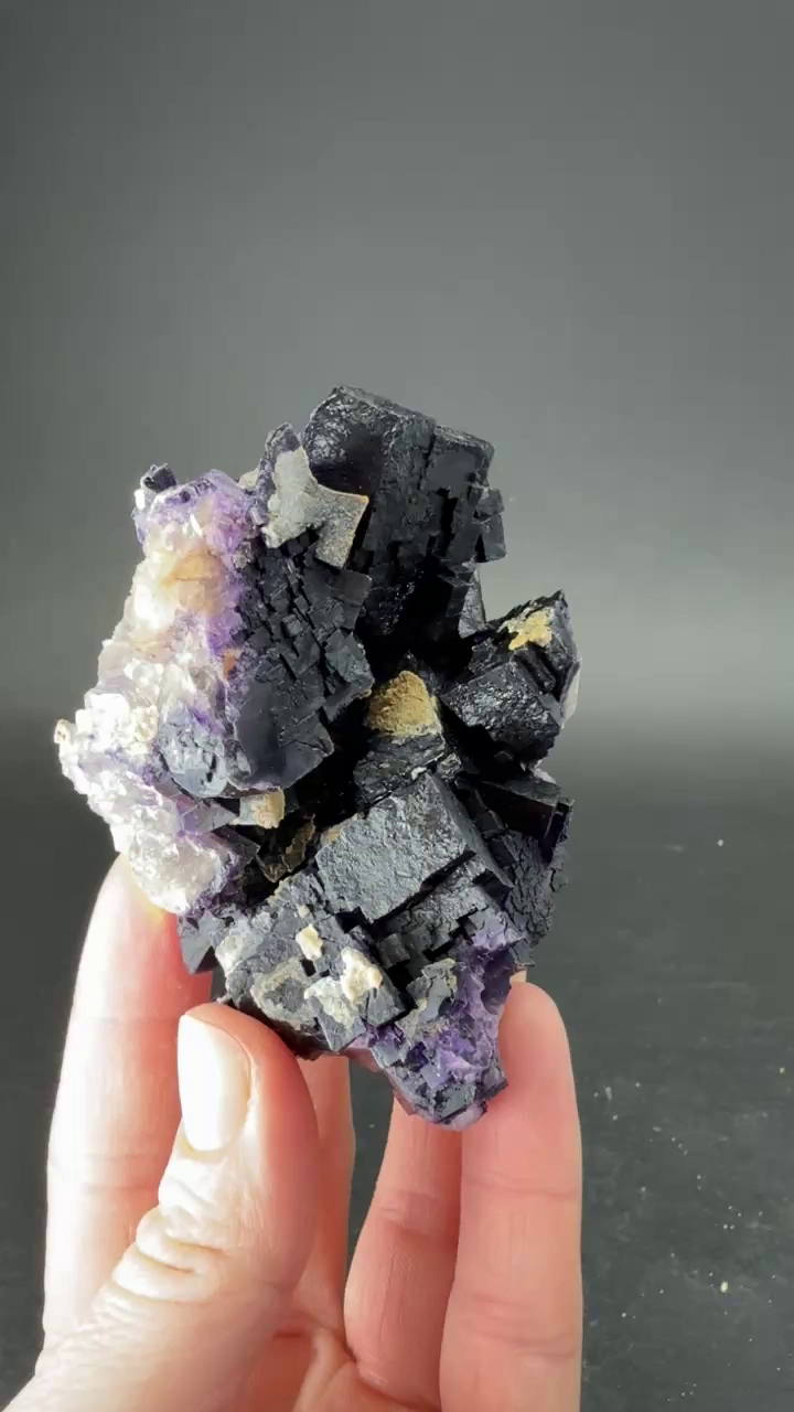 Fluorite from Hastie's Quarry, Illinois TD3972