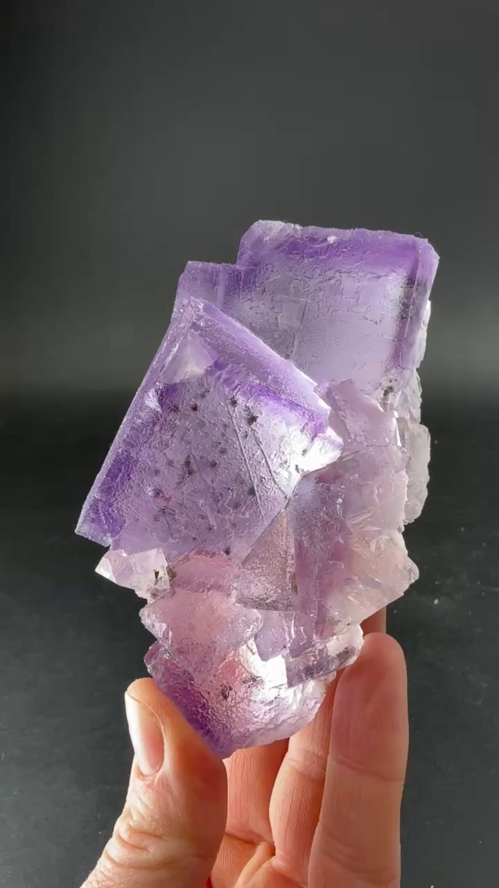 Fluorite from Hastie's Quarry, Illinois TD3976