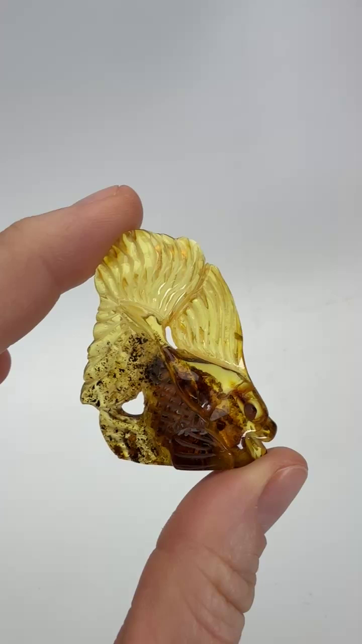 Baltic Amber Goldfish Carving TD4012