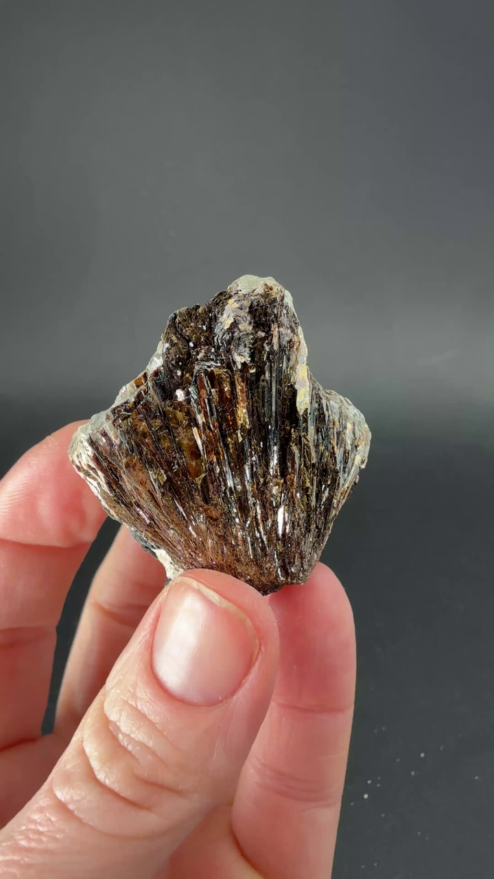 Astrophyllite Specimen from Russia TF089