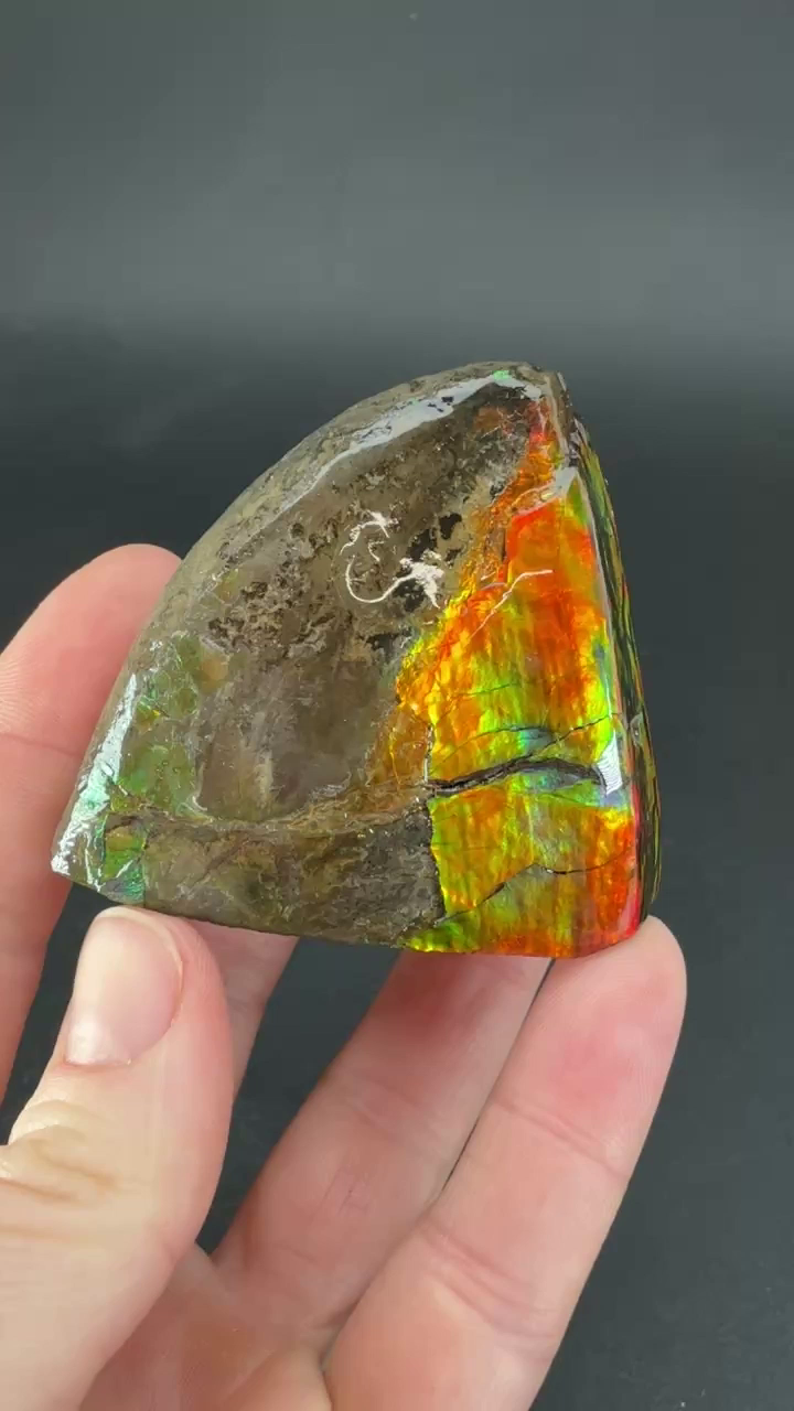 117 gram Natural Ammolite Piece TF104