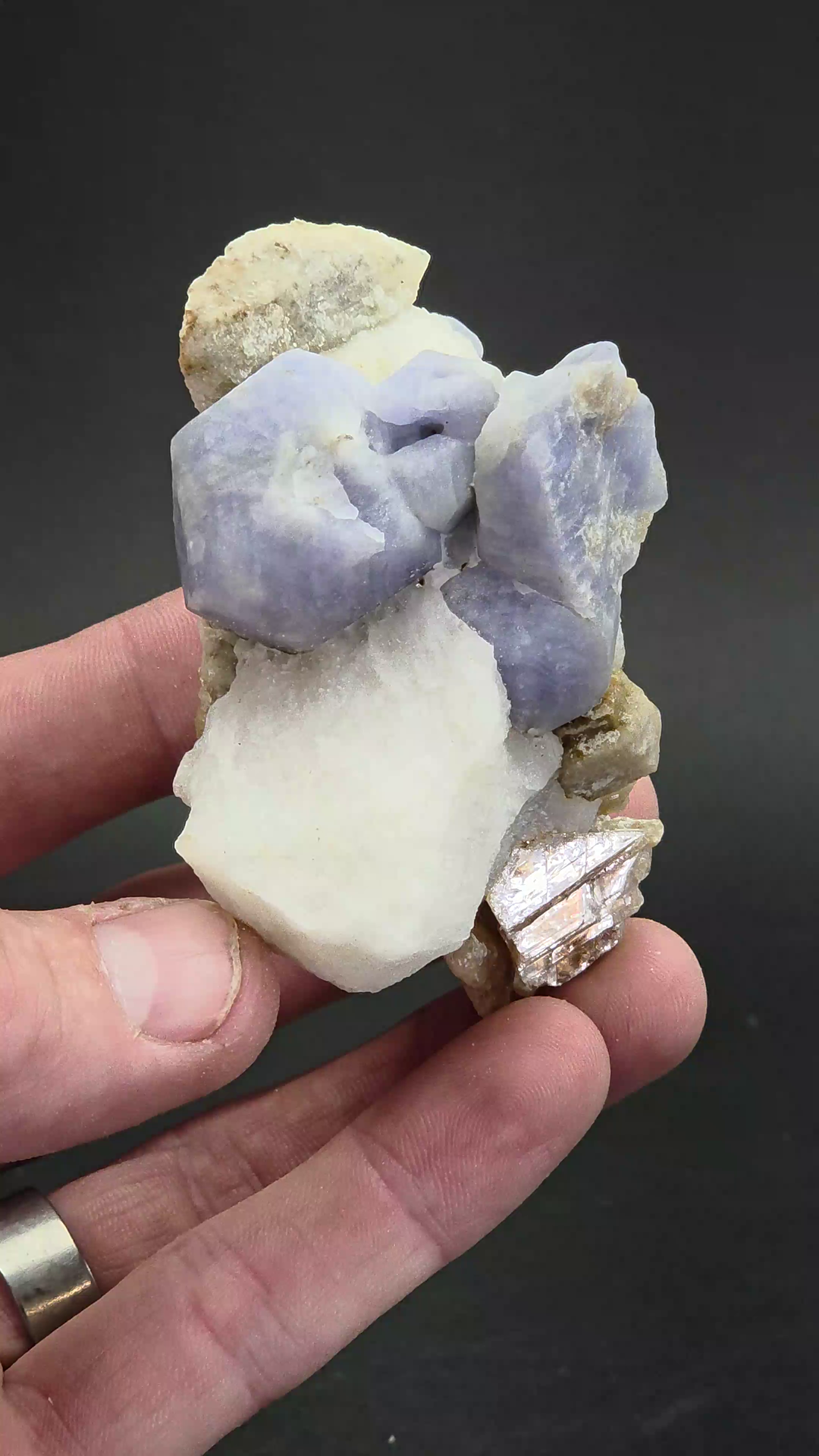 Hackmanite Specimen from Kokcha Valley TF1147