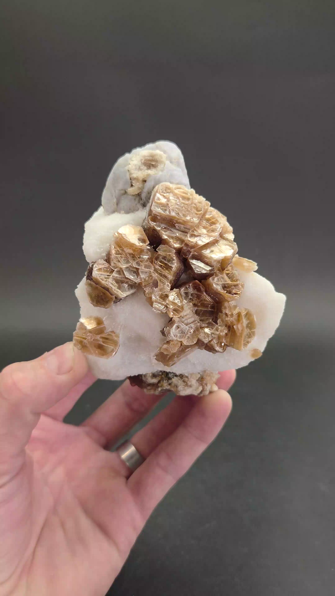 Hackmanite with Phlogopite from Kokcha Valley TF1162