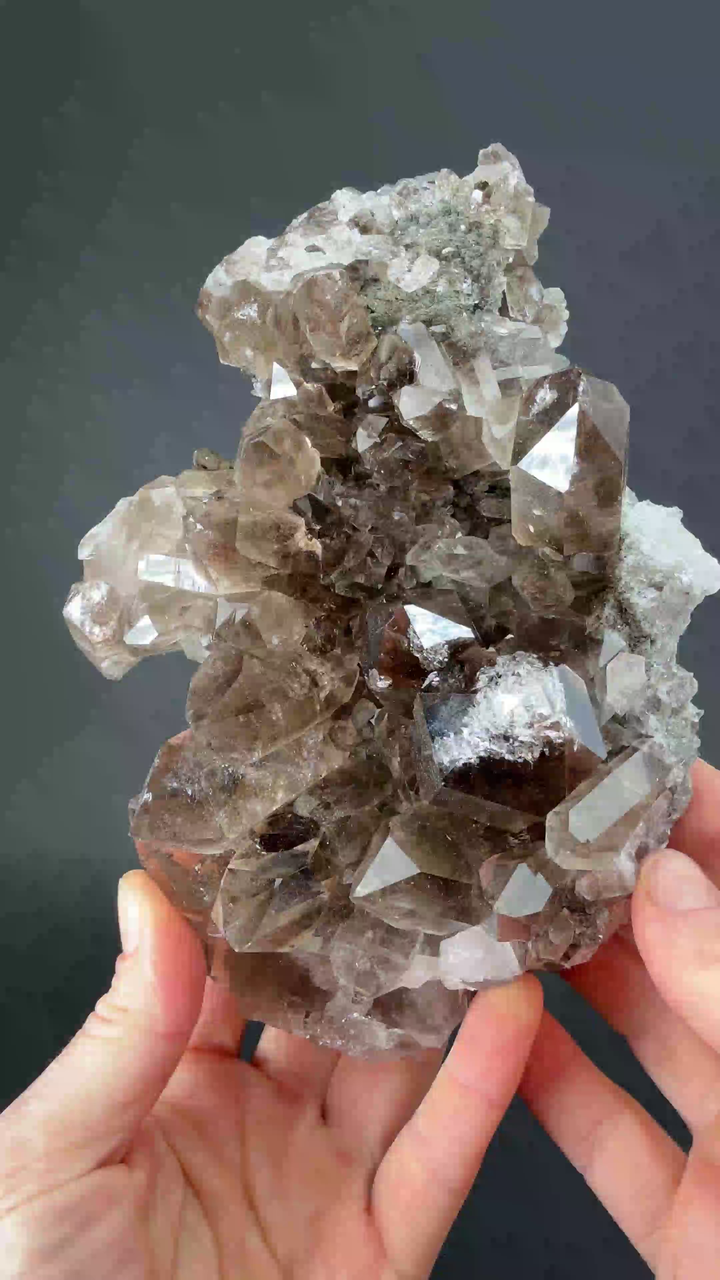 Smoky Quartz Cluster with Clinochlore from Dodo Mine, Russia TF1314