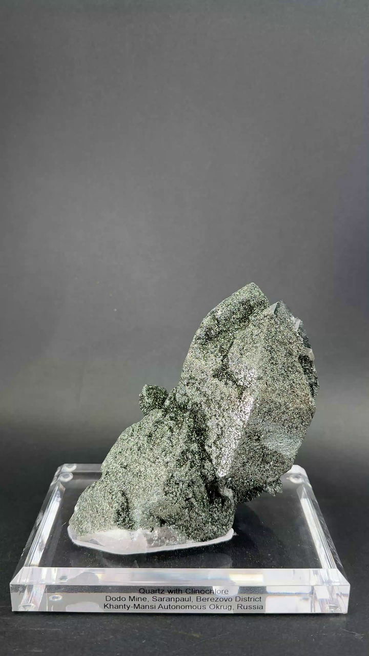 Quartz with Clinochlore on Custom Acrylic Base from Dodo Mine TF1377