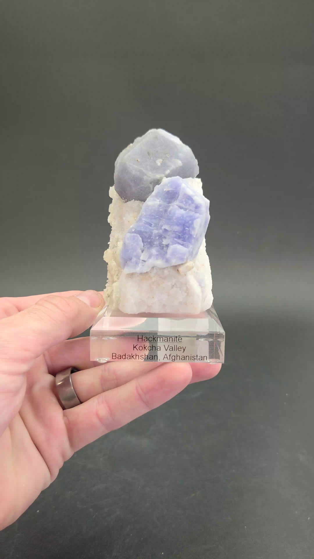 Hackmanite Specimen from Kokcha Valley TF1704