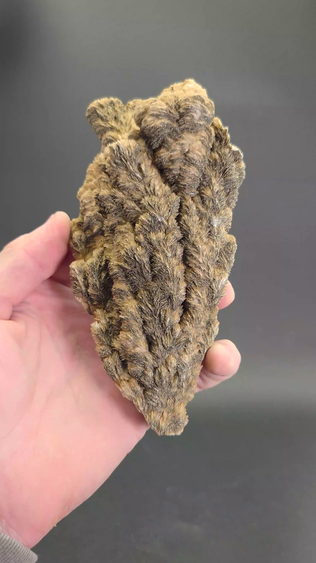 Barite with Pyrite Specimen from Poland TF1740