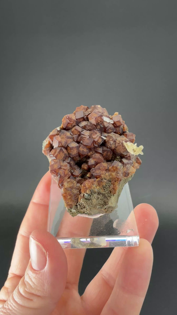 Andradite Garnet on Hedenbergite TF1808