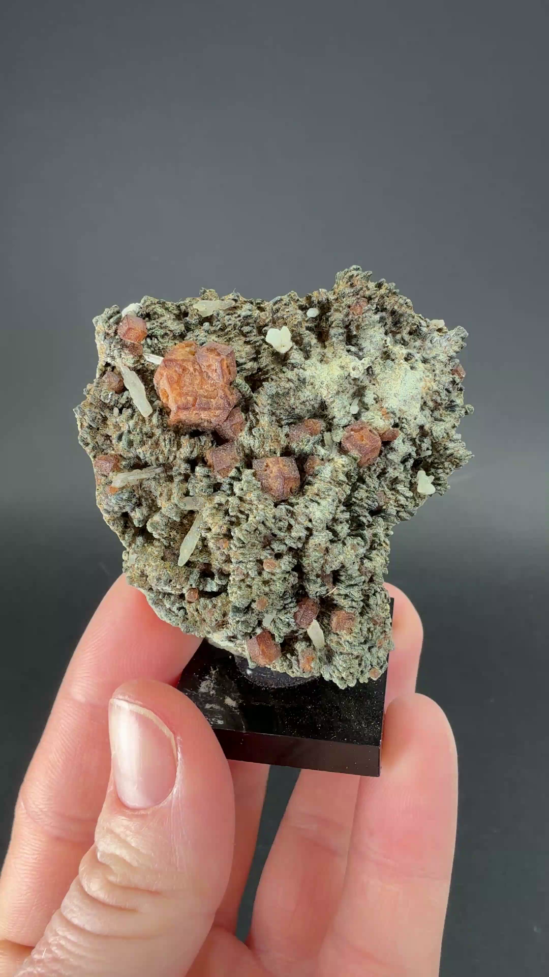 Andradite Garnet on Hedenbergite TF1810