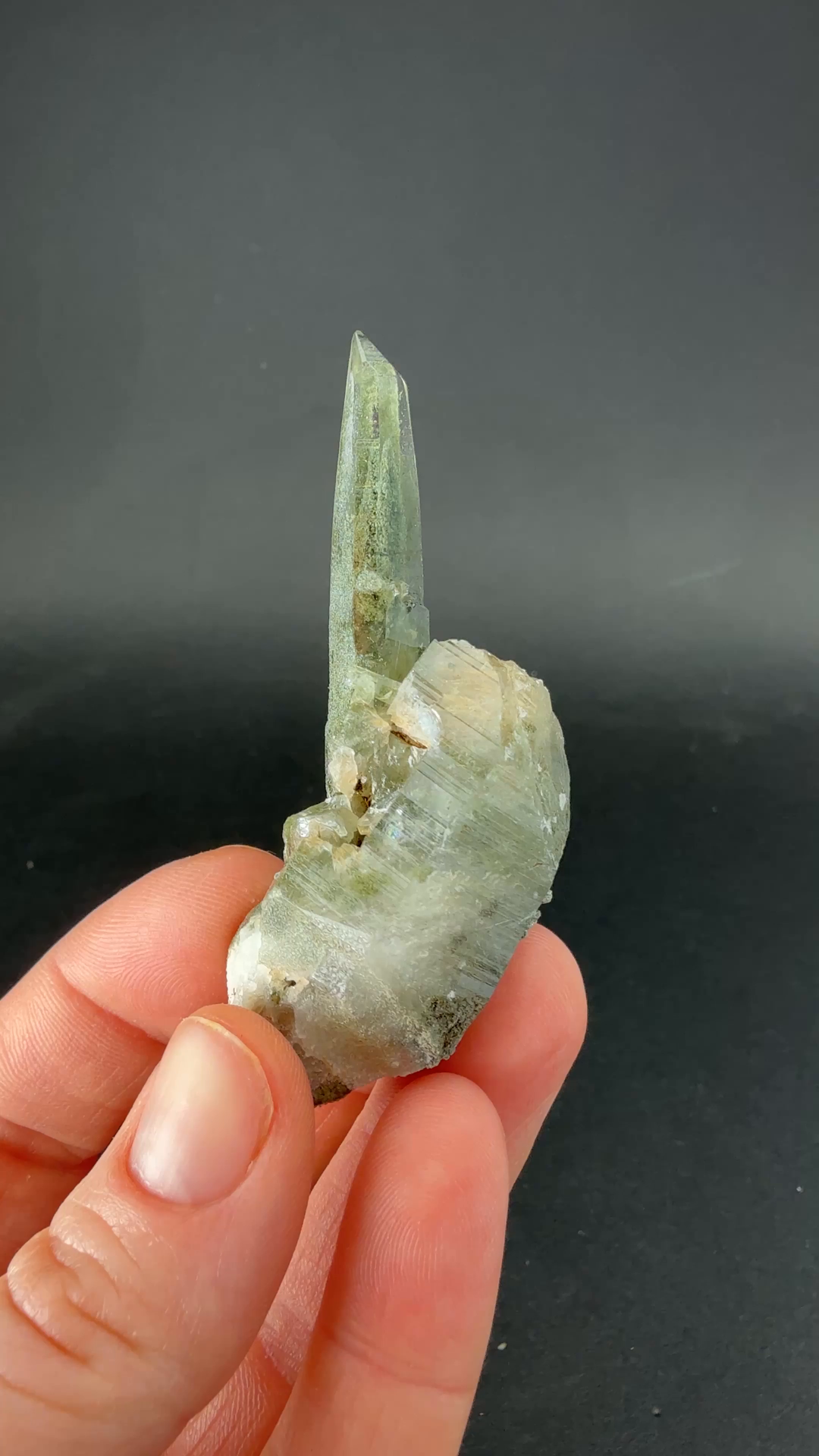 Chlorite Included Quartz from Mt. Ganesh, Nepal TF2186