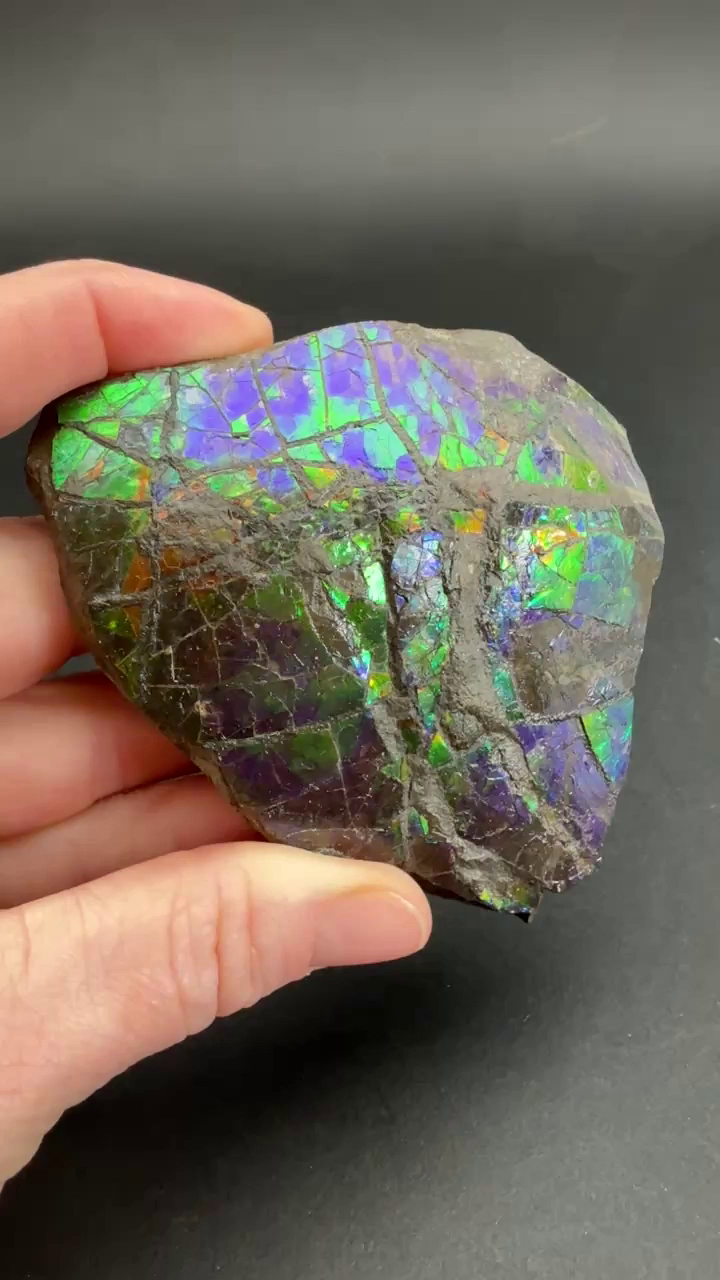 157 gram Natural Ammolite Piece TF2193