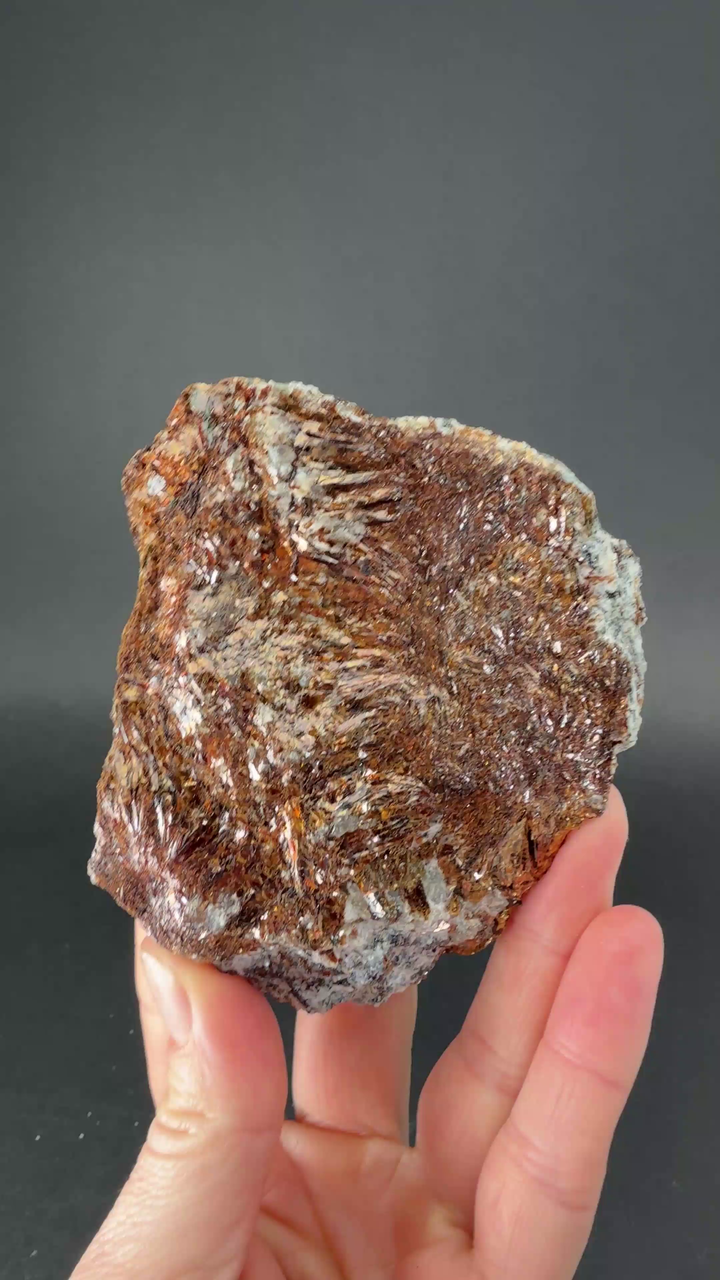 Astrophyllite Specimen from Russia TF2301