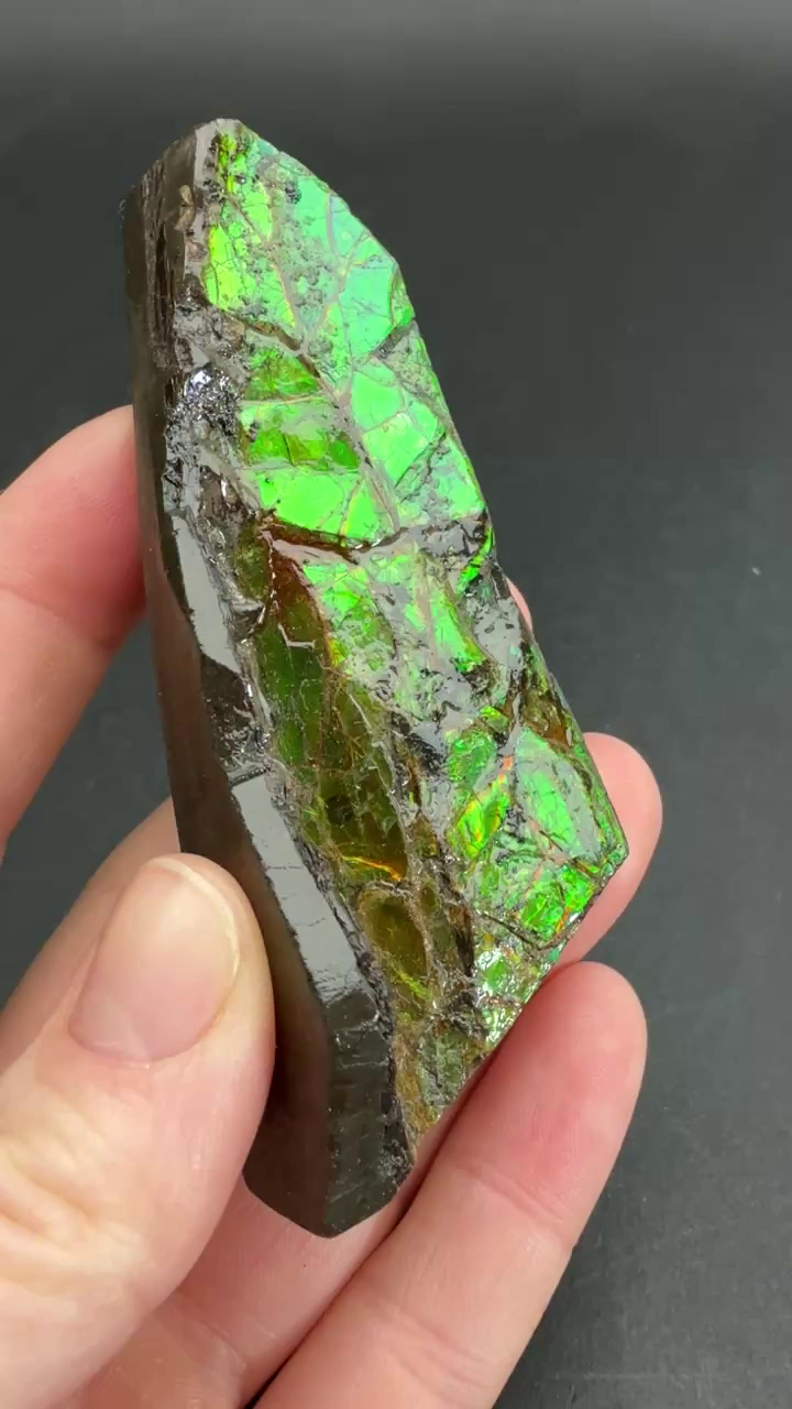 97 gram Natural Ammolite Piece TF254