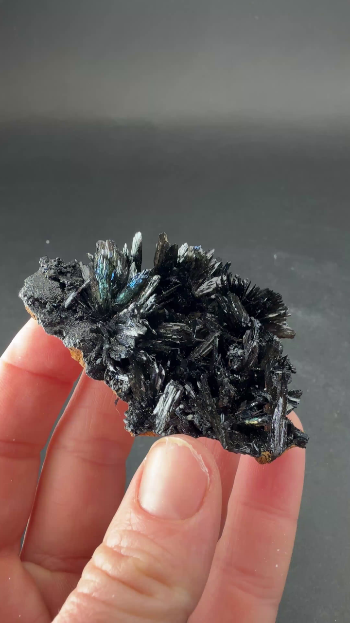 Vivianite Crystal Specimen from Ukraine TF2677
