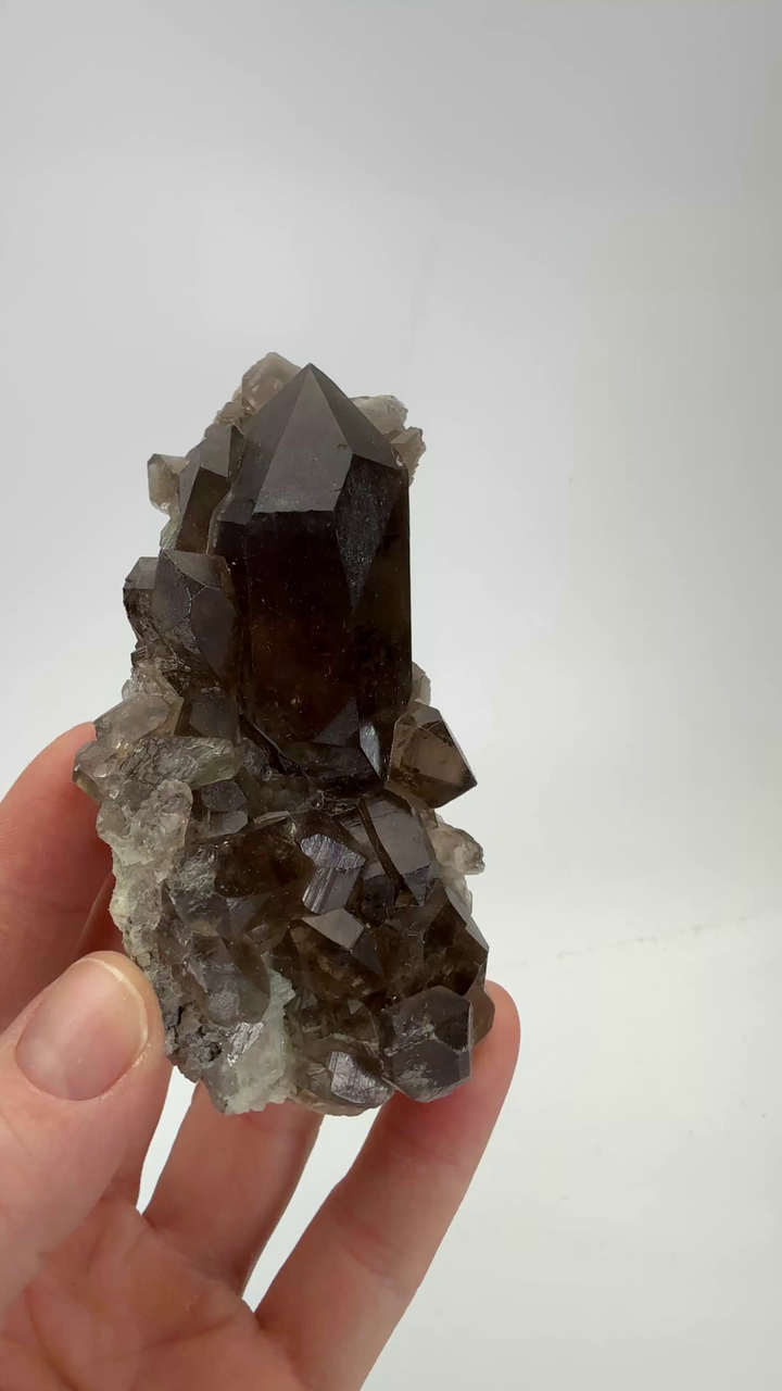 Smoky Quartz Cluster from Mt. Blanc TF285