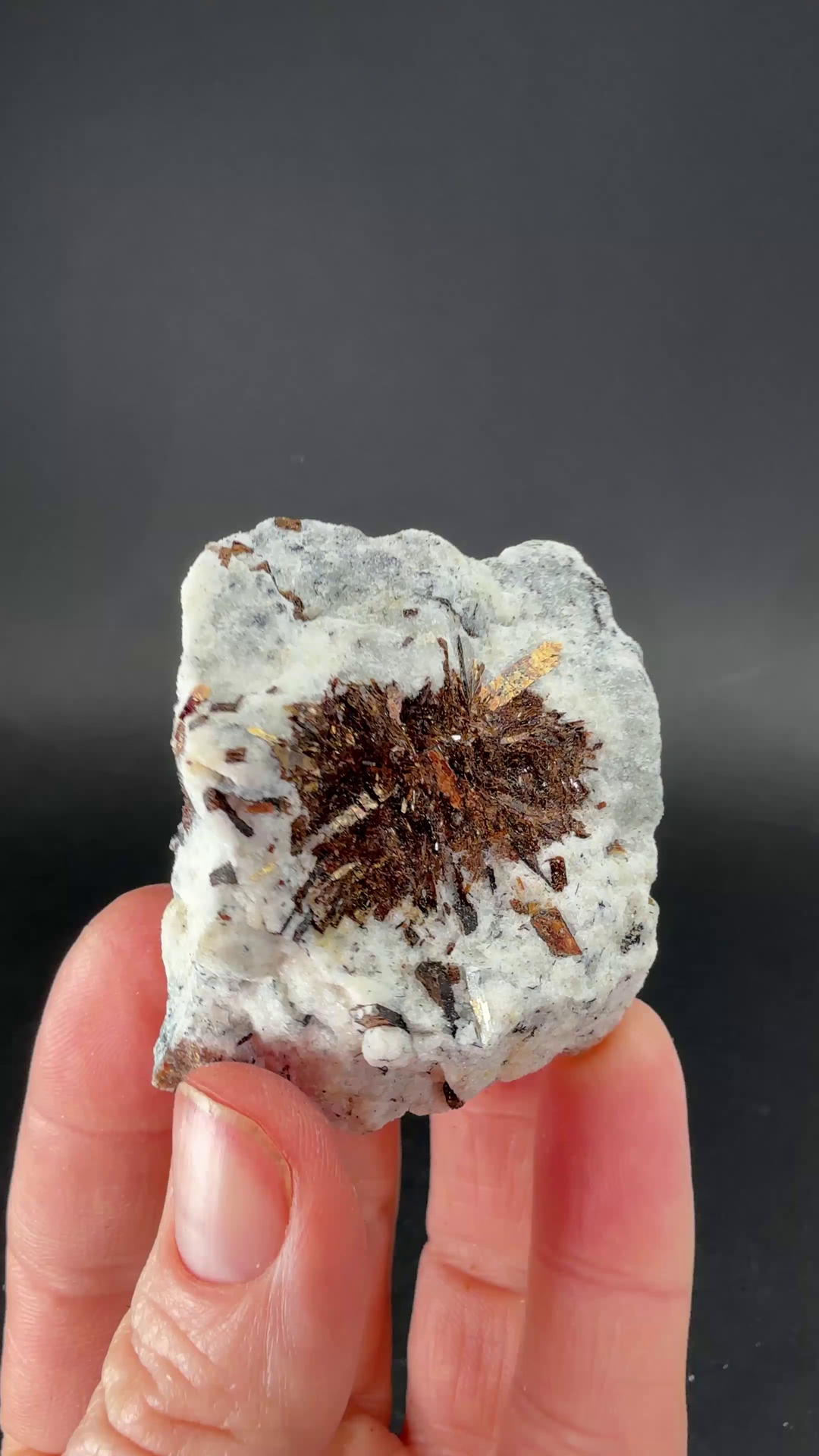 Astrophyllite Specimen from Russia TF3267