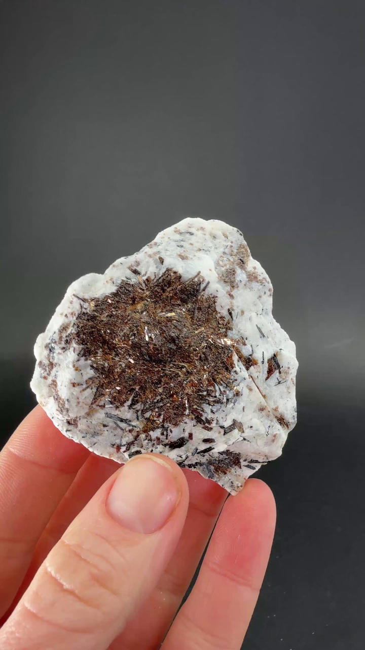 Astrophyllite Specimen from Russia TF3268