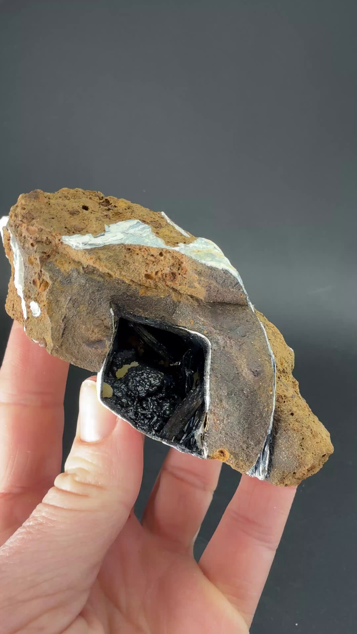 Vivianite Crystals in Fossil Clam Shell from Ukraine TF3378