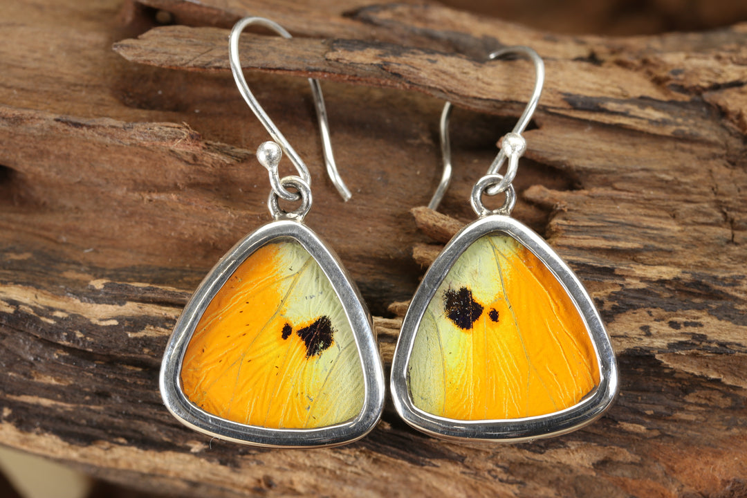 Menippe Butterfly Dangle Earrings TF706