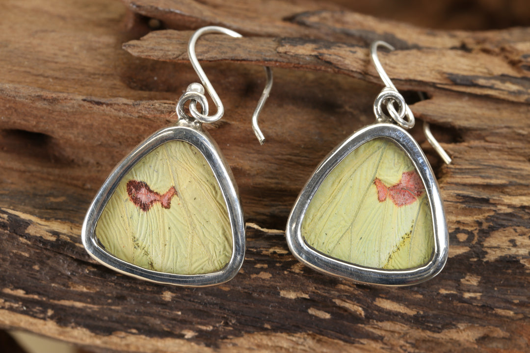 Menippe Butterfly Dangle Earrings TF706