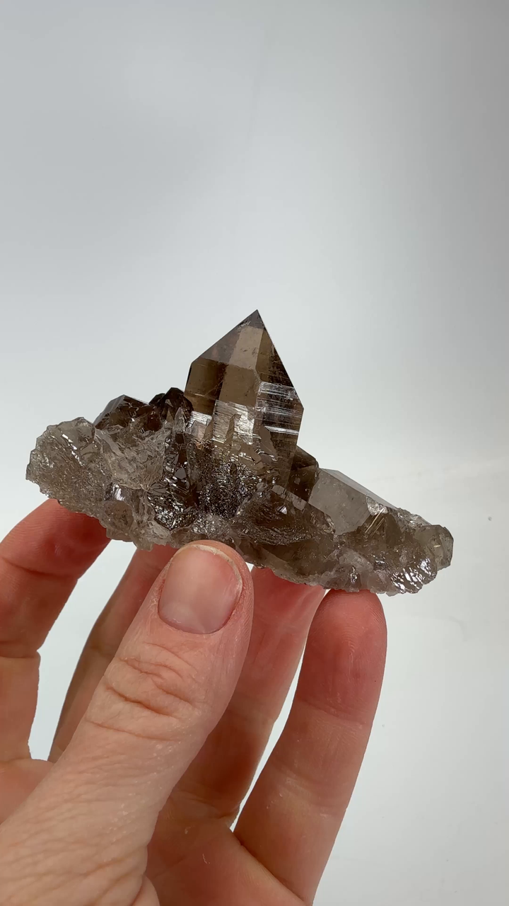Smoky Quartz from Mt. Blanc TF937