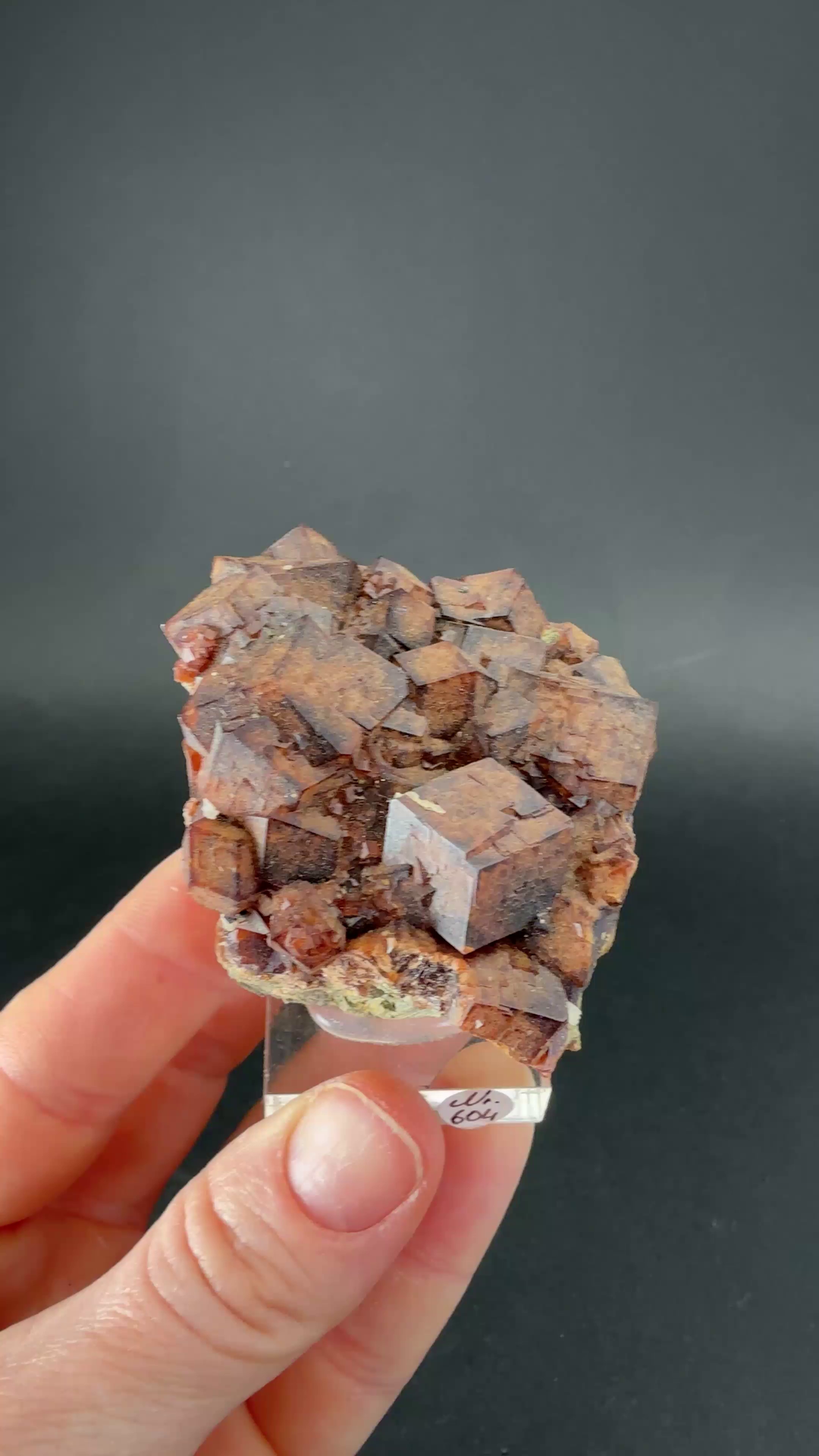 Andradite Garnet on Hedenbergite TU3811