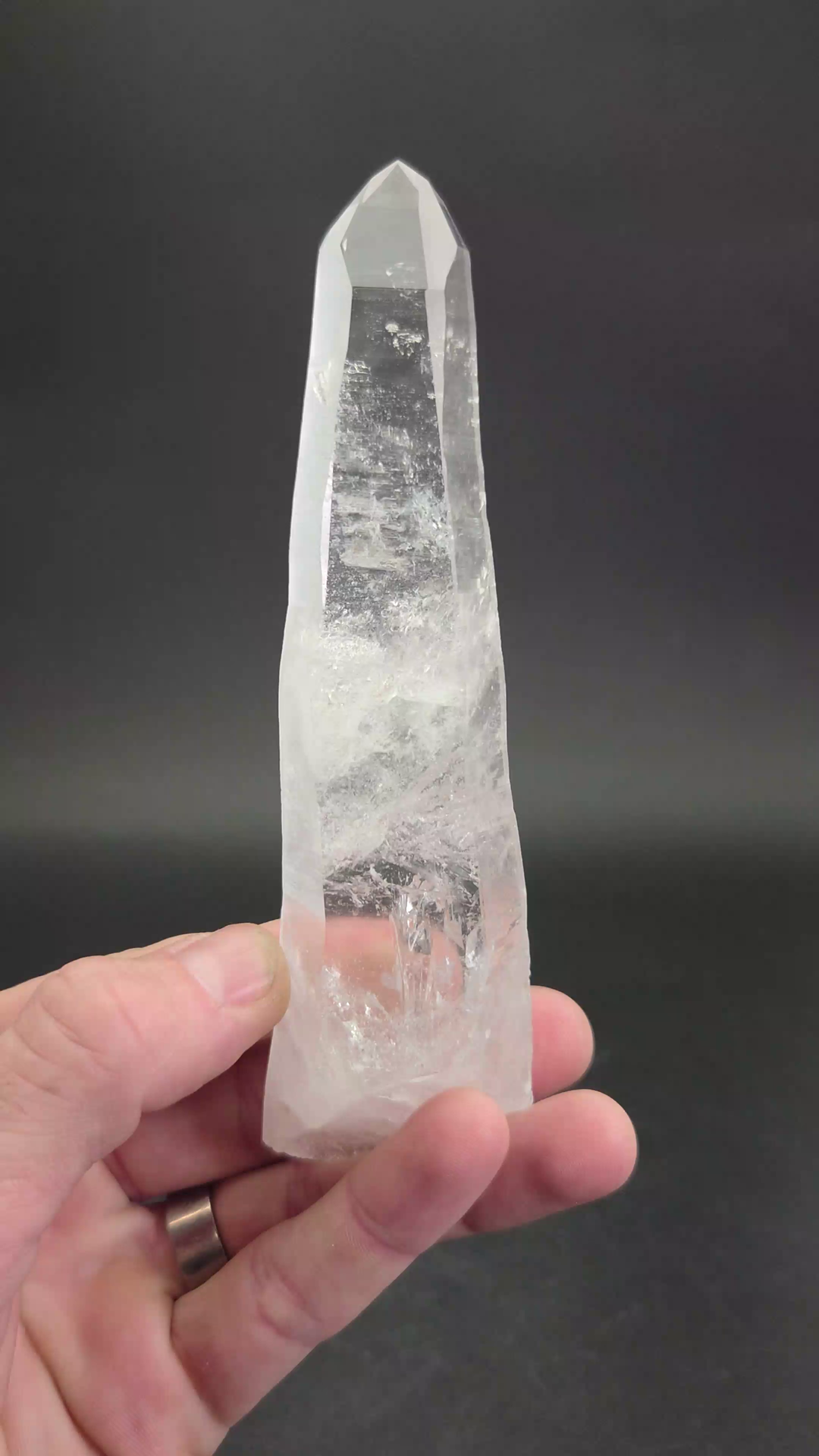 6" Lemurian Seed Crystal TV737