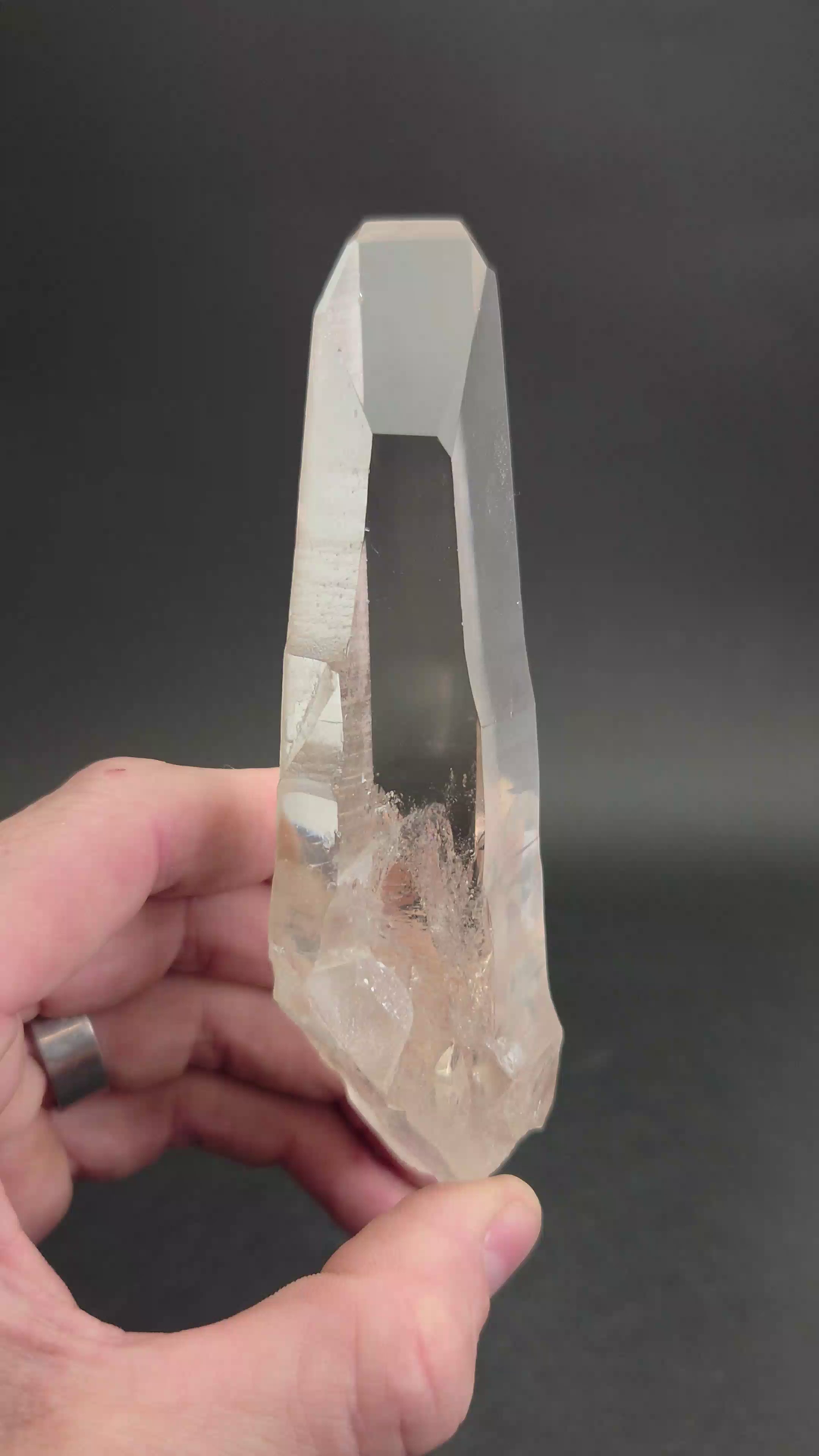 5.5" Lemurian Seed Crystal TV739