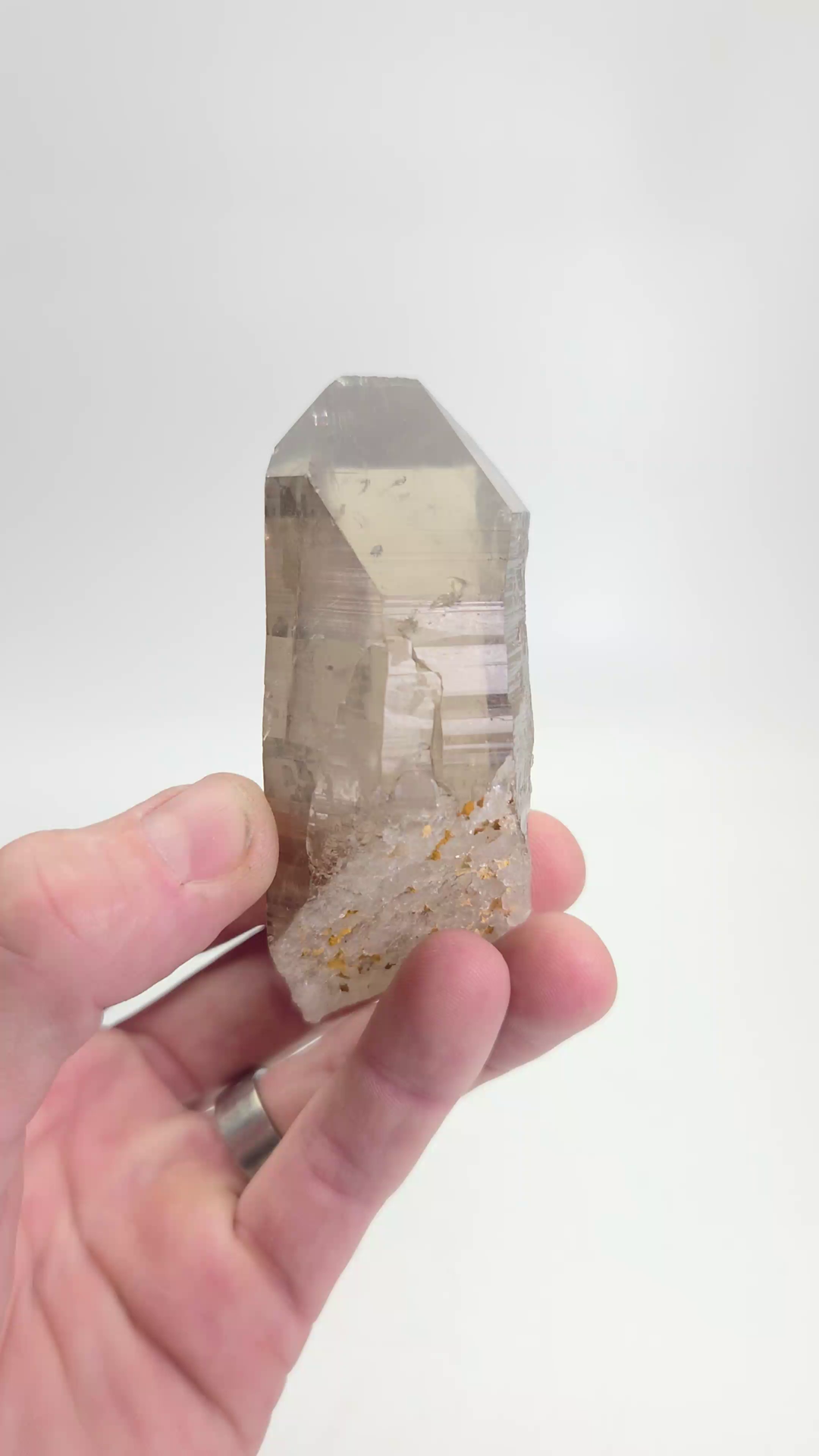 3.5" Smoky Lemurian TV779