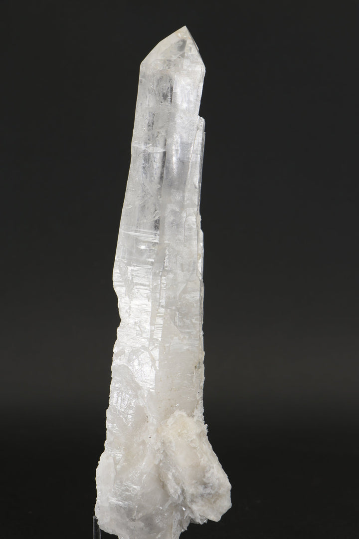 8.25" Diamantina Lemurian Crystal TW652