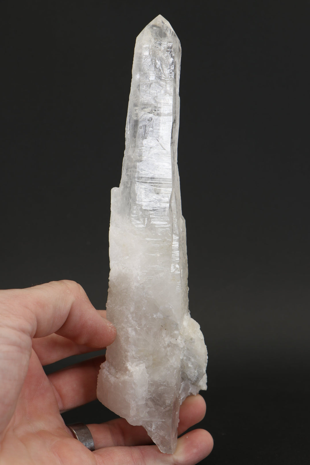 8.25" Diamantina Lemurian Crystal TW652