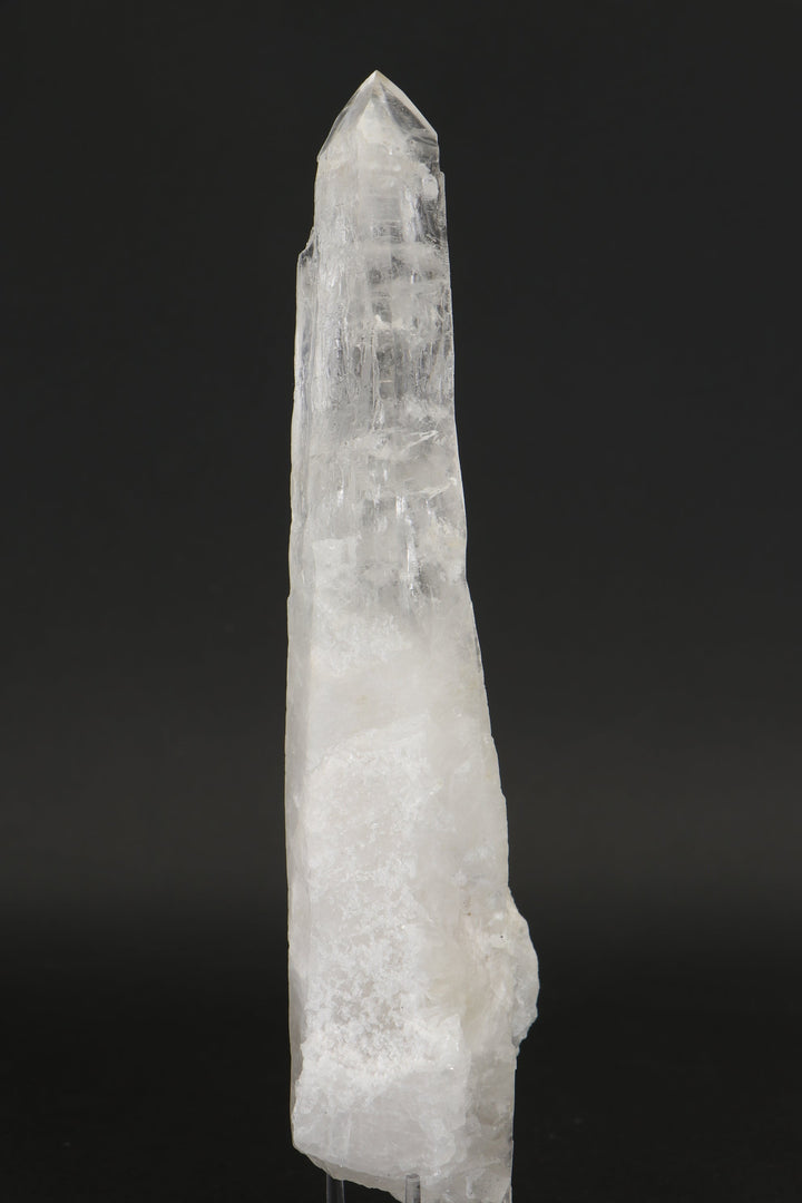 8.25" Diamantina Lemurian Crystal TW652