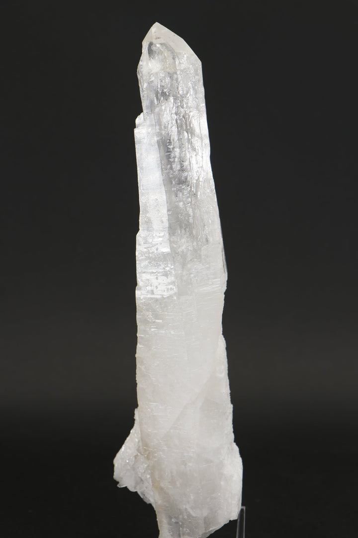 8.25" Diamantina Lemurian Crystal TW652