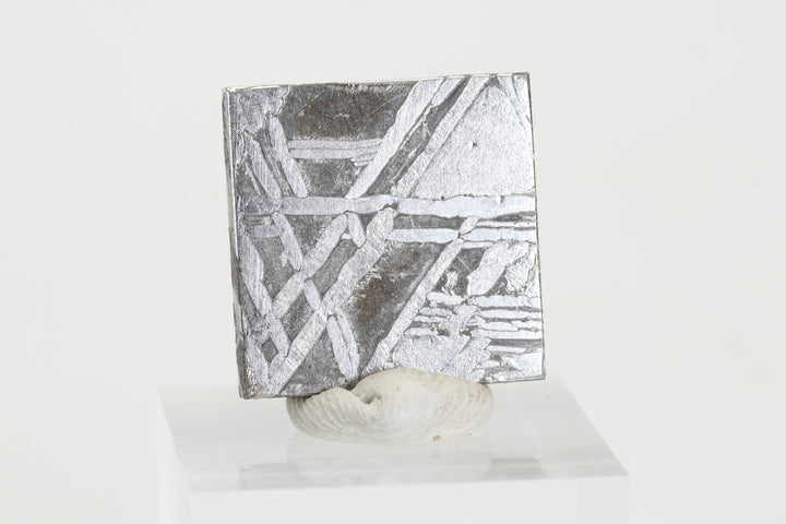 6.7 gram Aletai Meteorite Slab TZ1279