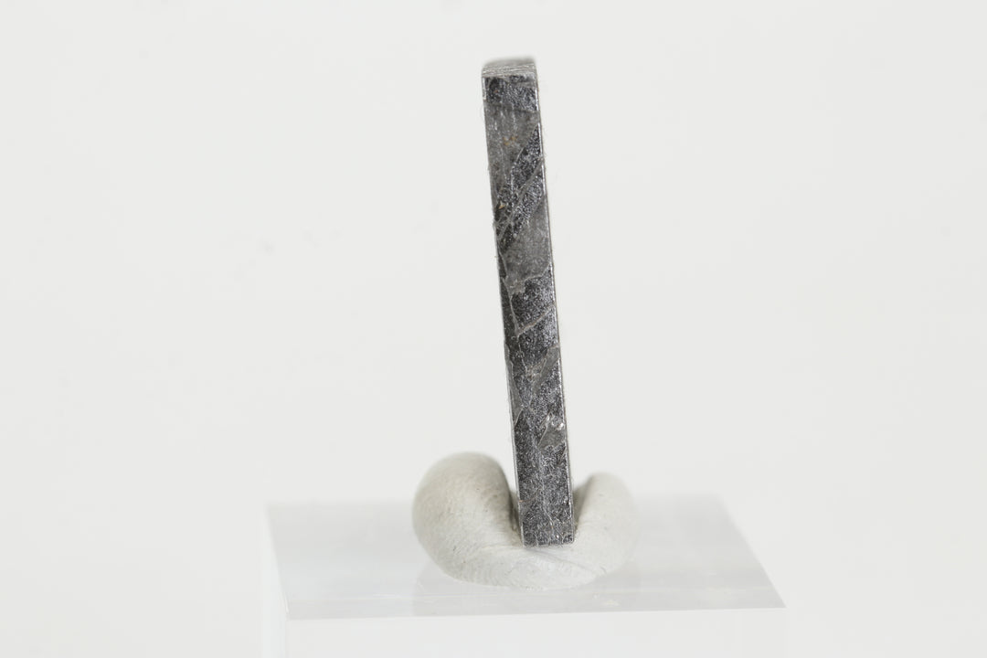 8.1 gram Aletai Meteorite Slab TZ1288