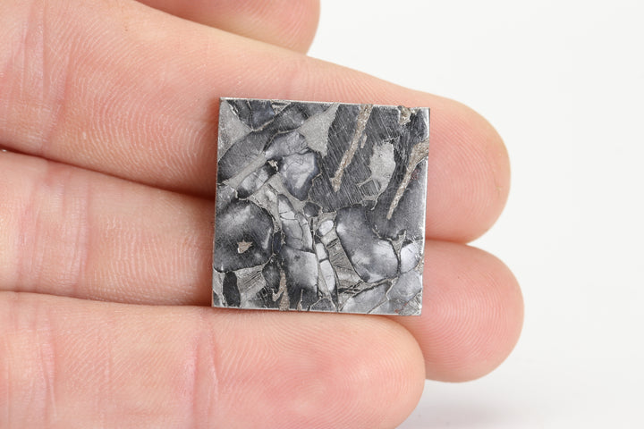 7.4 gram Seymchan Meteorite Slab TZ1292