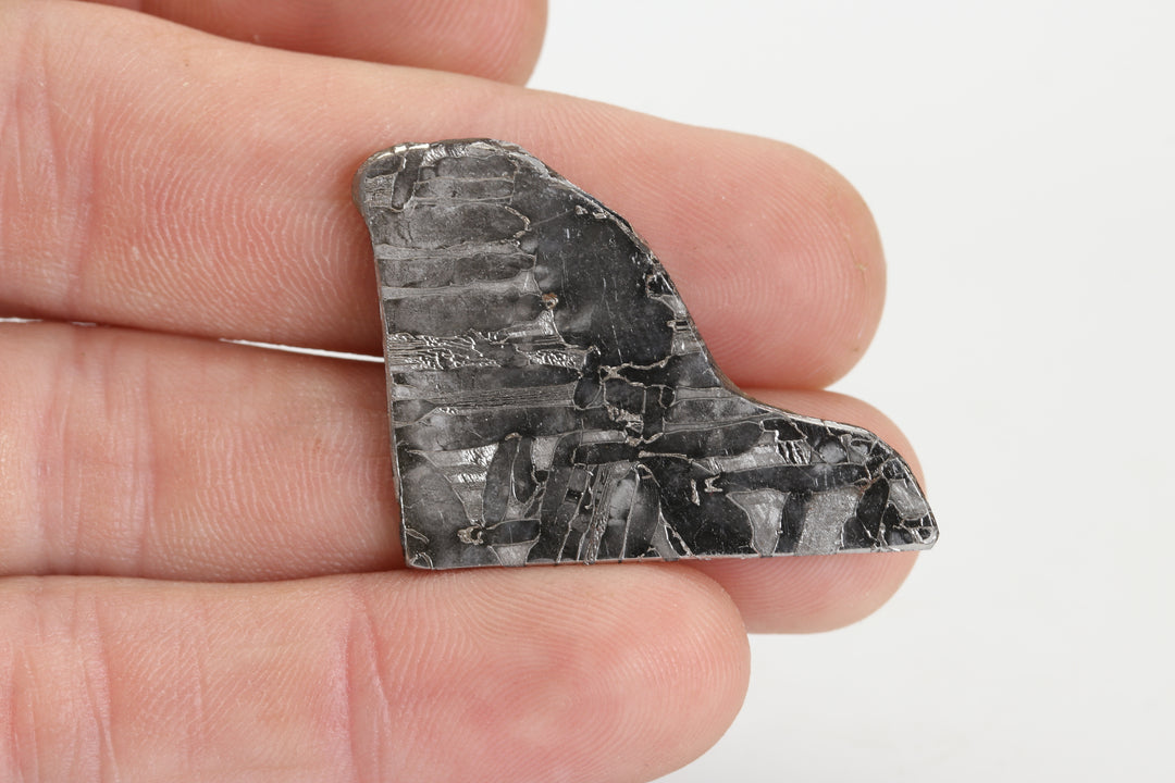 9.2 gram Seymchan Meteorite Slab TZ1303