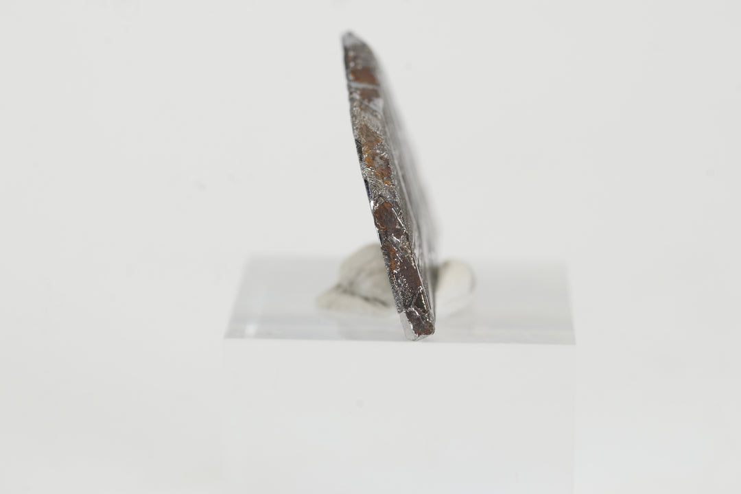 9.1 gram Seymchan Meteorite Slab TZ1304
