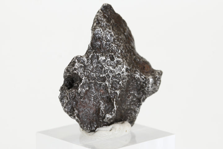 25.2 gram Sikhote-Alin Meteorite TZ1318
