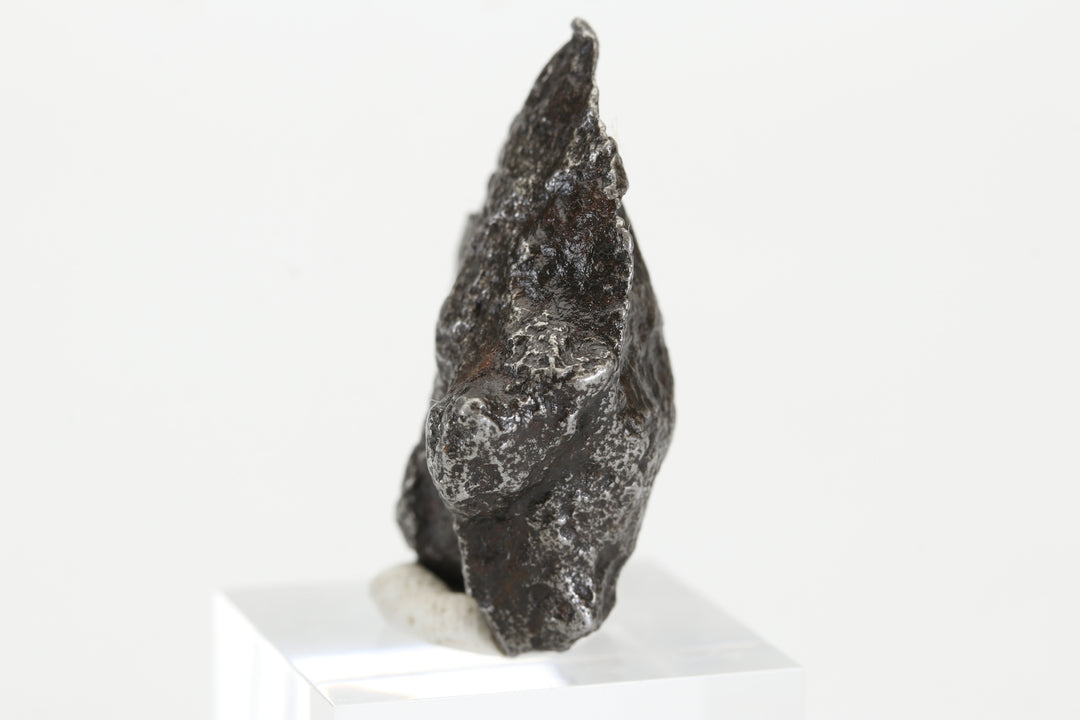 25.2 gram Sikhote-Alin Meteorite TZ1318