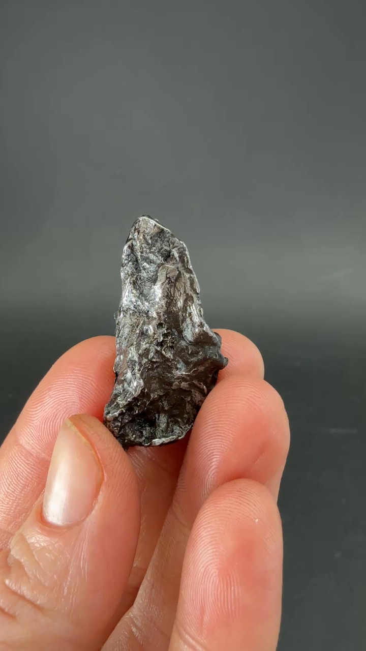 19 gram Sikhote-Alin Meteorite TZ1324